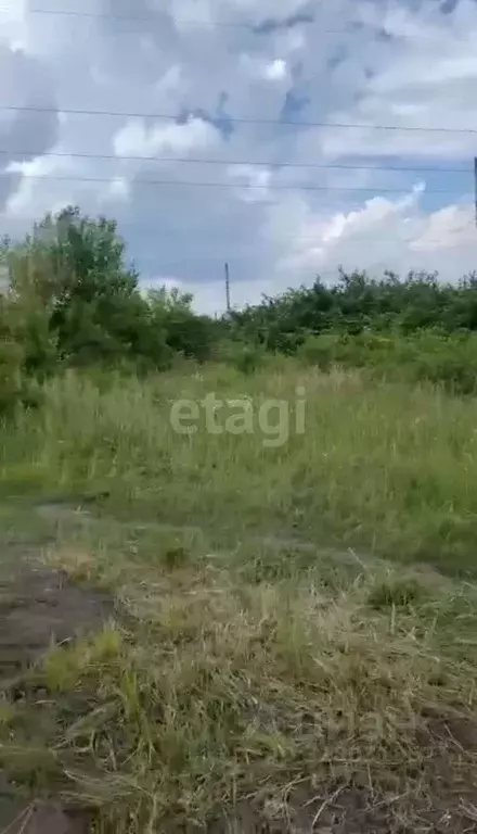 Участок в Воронежская область, Воронеж Южный СДТ,  (6.0 сот.) - Фото 0