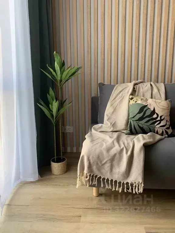 Студия Краснодарский край, Сочи ул. Искры, 66/9 (32.0 м) - Фото 1