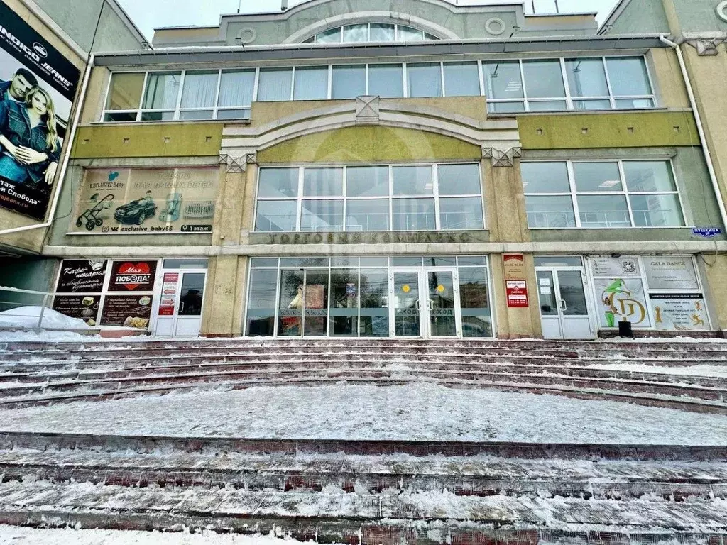 Помещение свободного назначения в Омская область, Омск ул. Пушкина, 59 ... - Фото 1