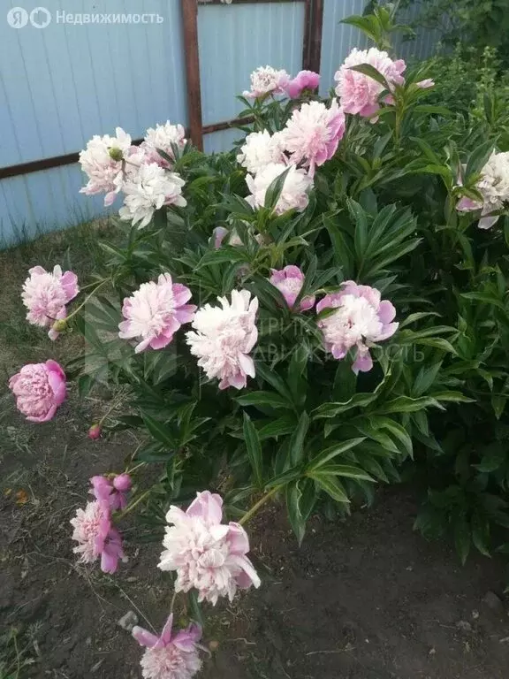 Дом в Тюмень, улица Владимира Бахарева (40 м) - Фото 0