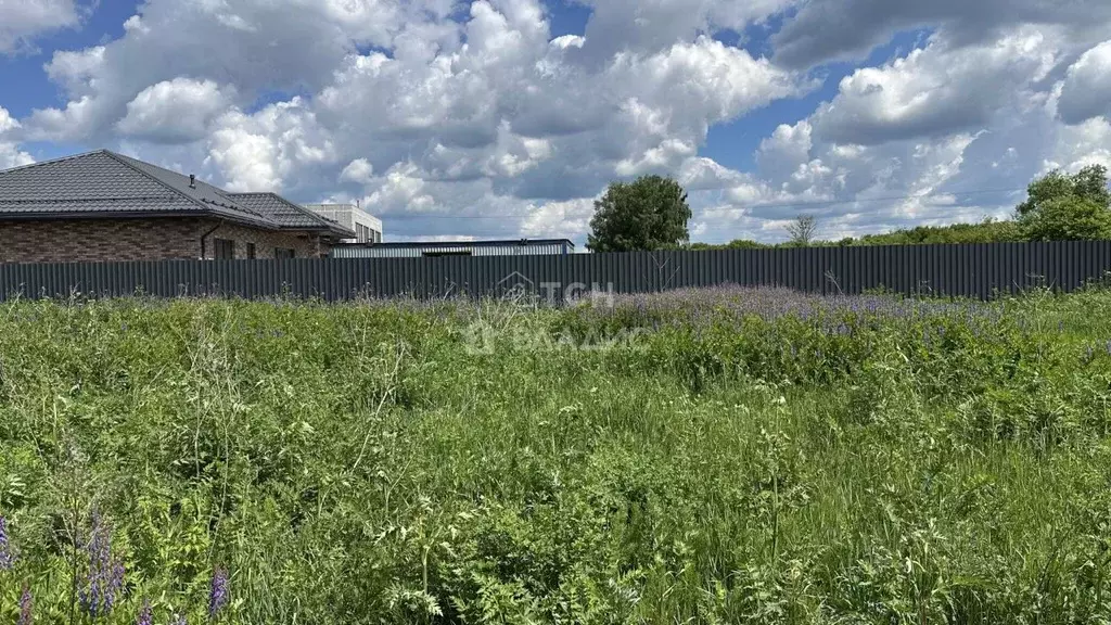 Участок в Московская область, Богородский городской округ, д. Пешково  ... - Фото 2