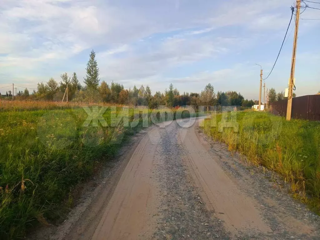 Участок 11 сот. (СНТ, ДНП) - Фото 1