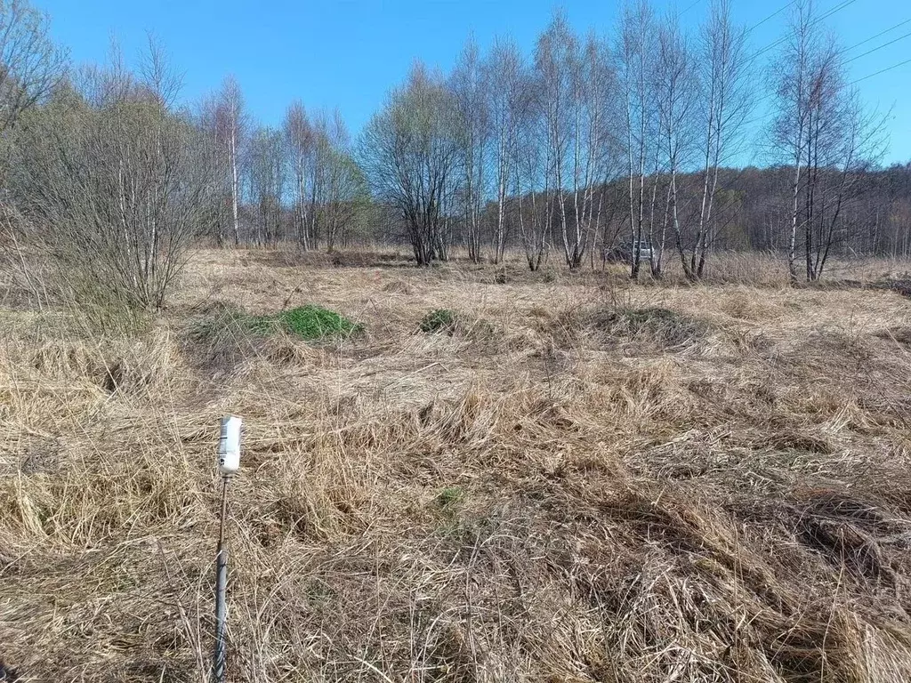 Участок в Московская область, Серпухов городской округ, д. Палихово  ... - Фото 2