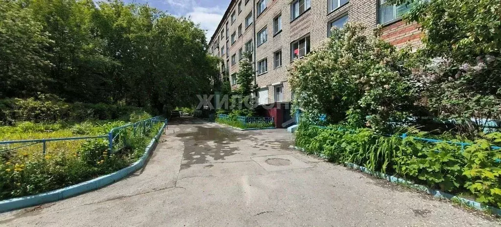 Комната Новосибирская область, Новосибирск просп. Димитрова, 14 (12.2 ... - Фото 1