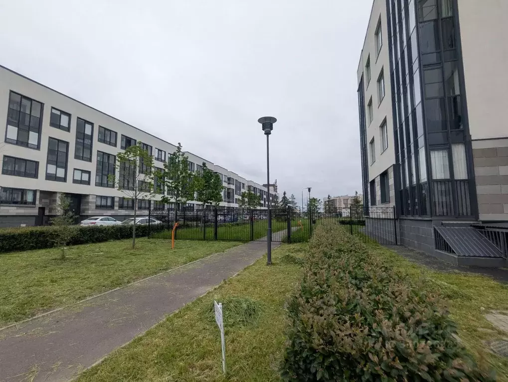 3-к кв. Санкт-Петербург ул. Ивана Куликова, 3к1 (83.1 м) - Фото 2