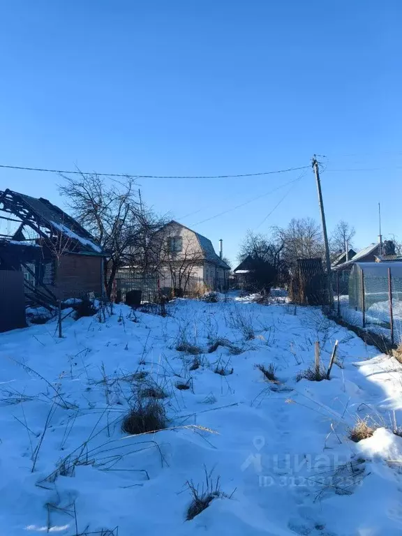 Участок в Московская область, Пушкинский городской округ, д. Матюшино  ... - Фото 1