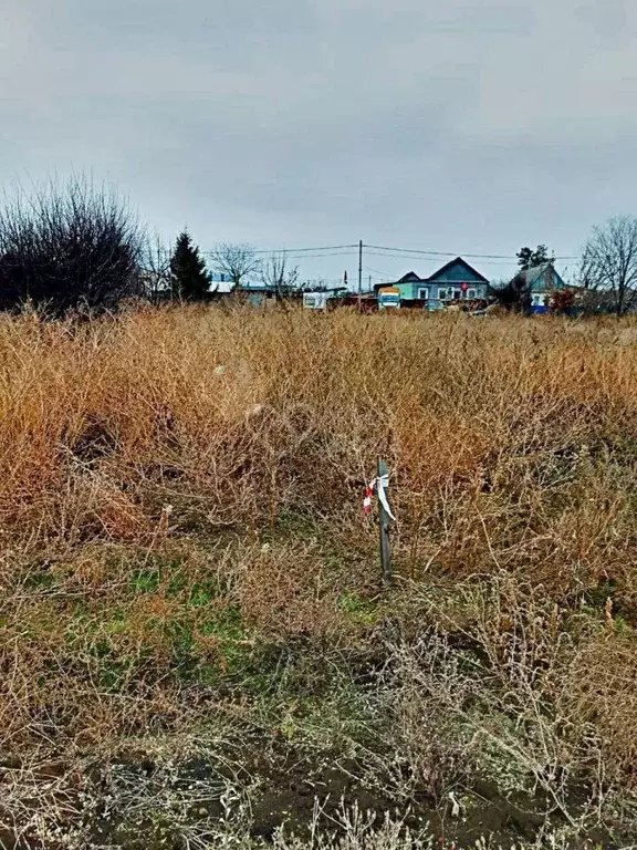 Участок в Волгоградская область, Волжский пос. Краснооктябрьский, ул. ... - Фото 2