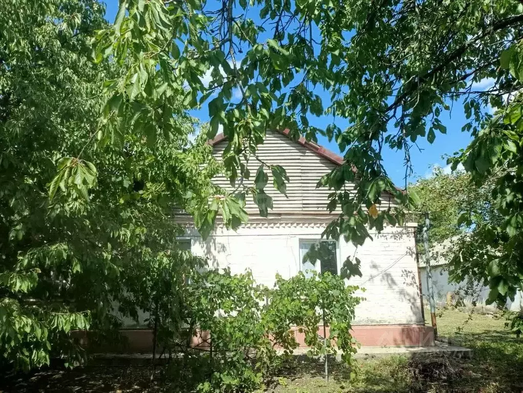 Дом в Белгородская область, Вейделевский район, с. Большие Липяги ул. ... - Фото 1