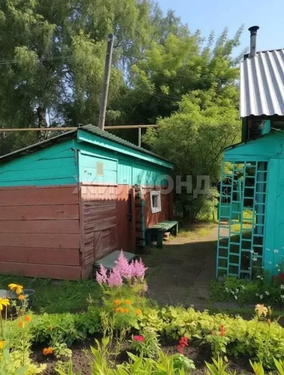 Дом в Новосибирская область, Новосибирск Рябинка СНТ, 3/21 (20 м) - Фото 2