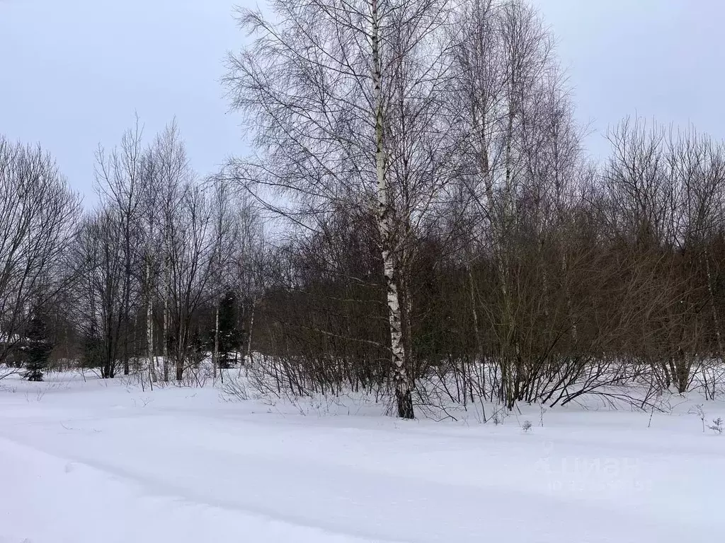 Участок в Москва Европейская долина-2 ДНП, пер. 3-й Двинский, 16 (9.11 ... - Фото 2