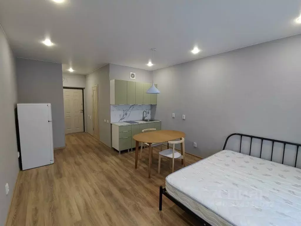 Студия Новгородская область, Великий Новгород наб. Колмовская, 71Б ... - Фото 2