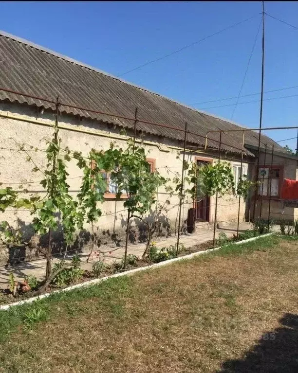 Дом в Крым, Раздольненский район, Серебрянское с/пос, с. Орловка ул. ... - Фото 1