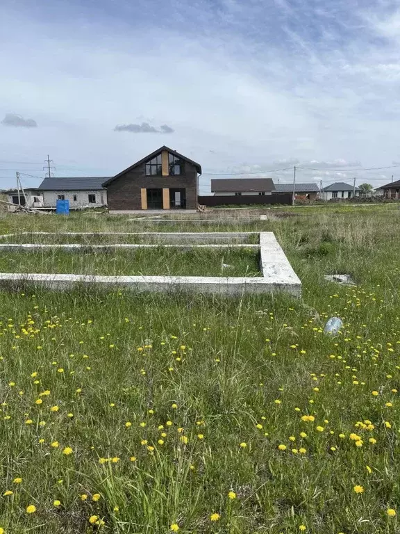 Участок в Новосибирская область, Новосибирский район, Морской ... - Фото 0