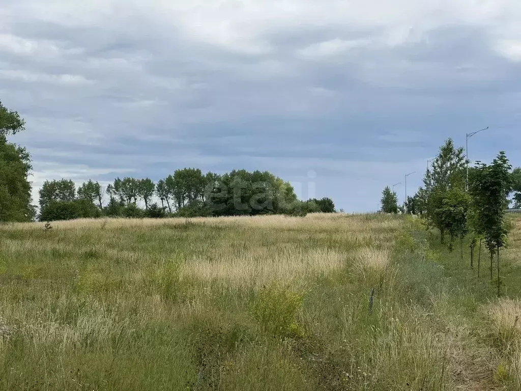 Участок в Белгородская область, Белгородский муниципальный округ, с. ... - Фото 1