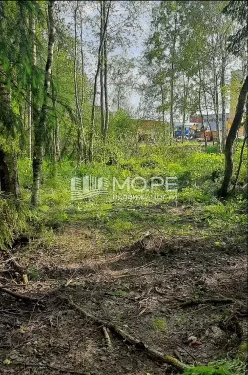 Участок в Московская область, Наро-Фоминский городской округ, д. ... - Фото 1