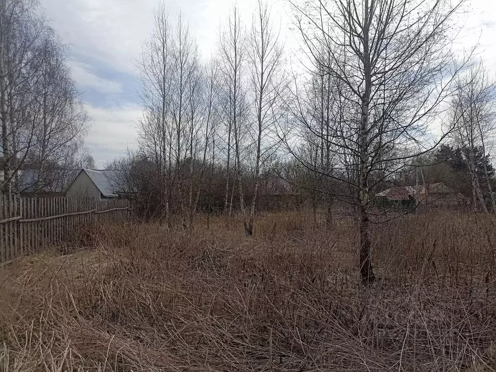 Участок в Москва д. Настасьино, 16 (8.01 сот.) - Фото 1
