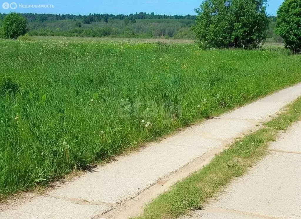 Участок в Вологодская область, Череповецкий муниципальный округ, ... - Фото 1