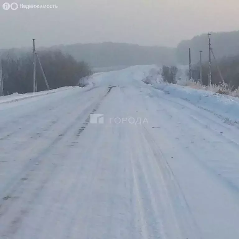 Участок в Мошковский район, село Томилово (6 м) - Фото 2