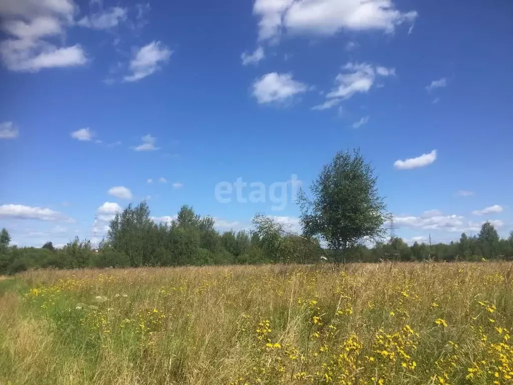 Участок в Пензенская область, Пензенский район, Засечный сельсовет, с. ... - Фото 0