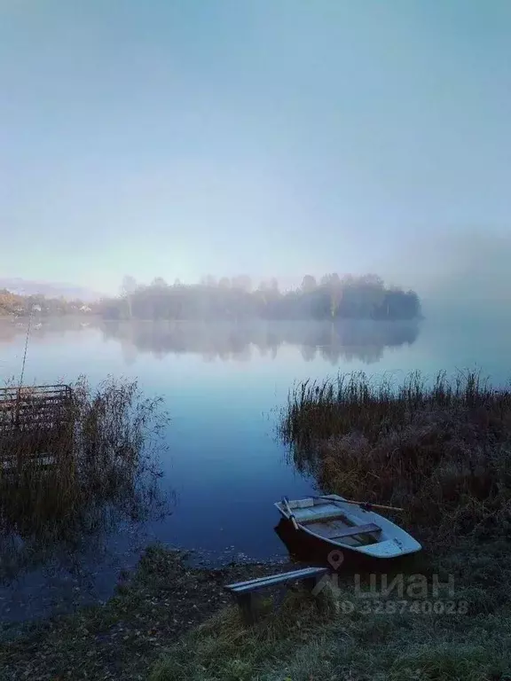 Участок в Ленинградская область, Лодейнопольский район, Алеховщинское ... - Фото 2