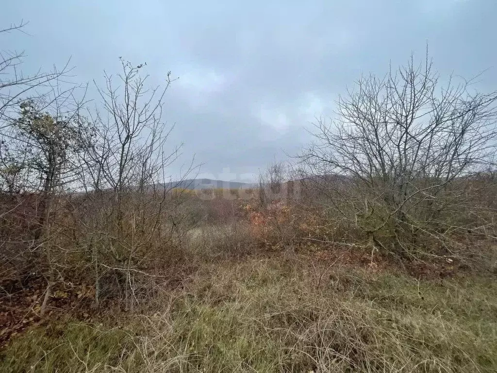 Участок в Крым, Кировский район, Первомайское с/пос, Заря СНТ пер. ... - Фото 1