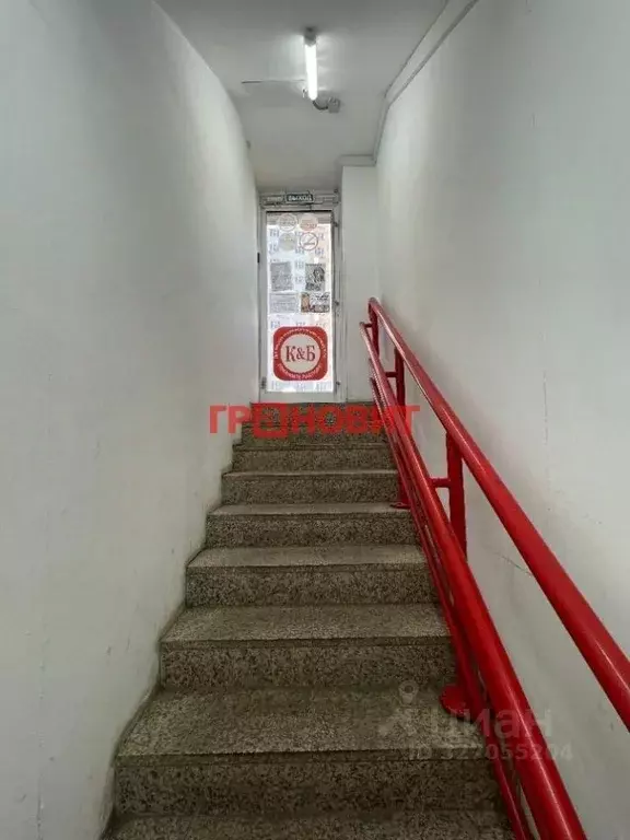 Помещение свободного назначения в Новосибирская область, Новосибирск ... - Фото 2