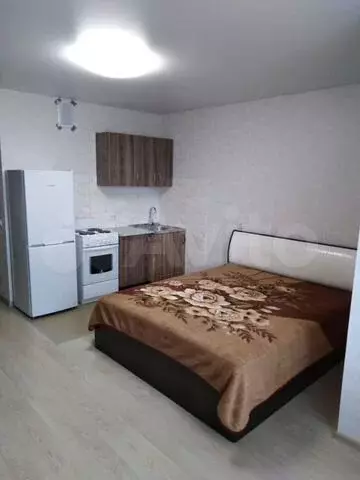 Квартира-студия, 24 м, 4/17 эт. - Фото 0