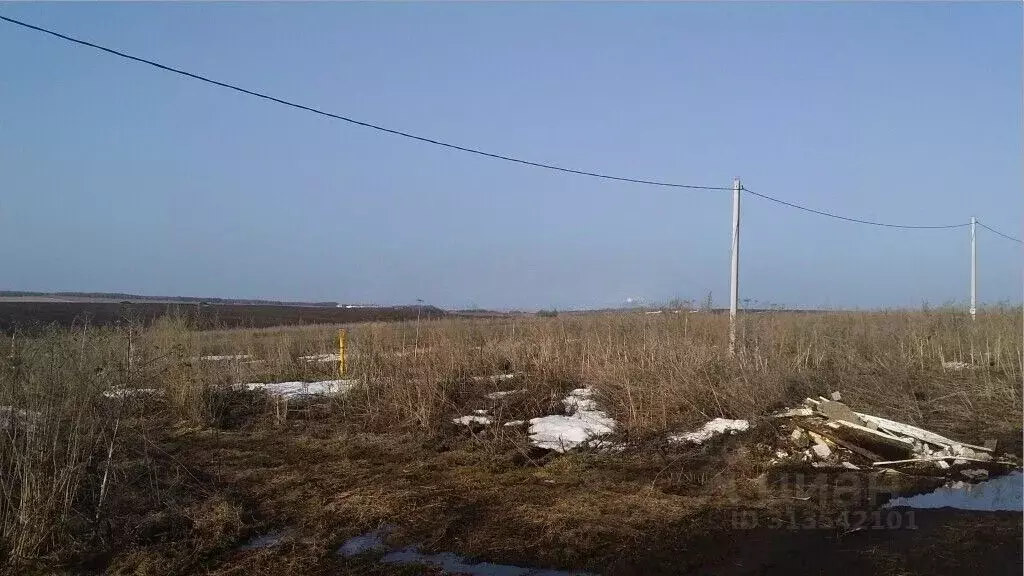 Участок в Владимирская область, Суздальский район, Новоалександровское ... - Фото 1