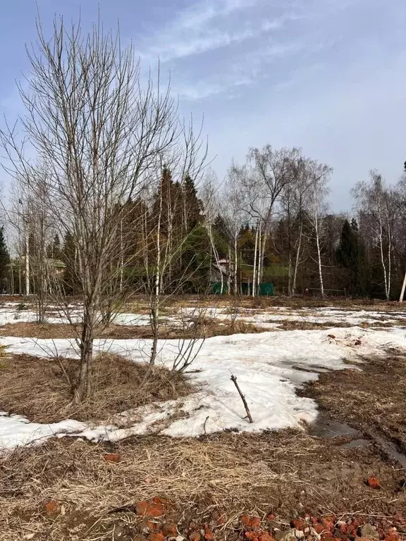 Участок в Московская область, Красногорск городской округ, д. Воронки  ... - Фото 0