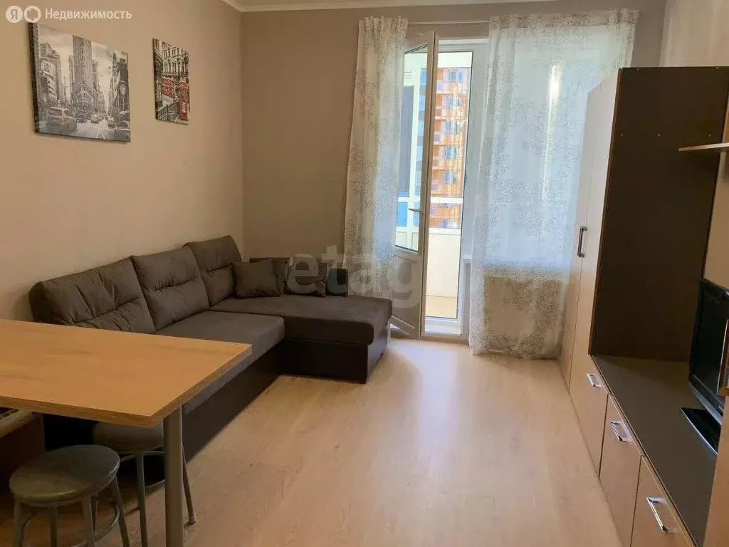 Квартира-студия: Санкт-Петербург, Комендантский проспект, 62 (24.8 м) - Фото 2