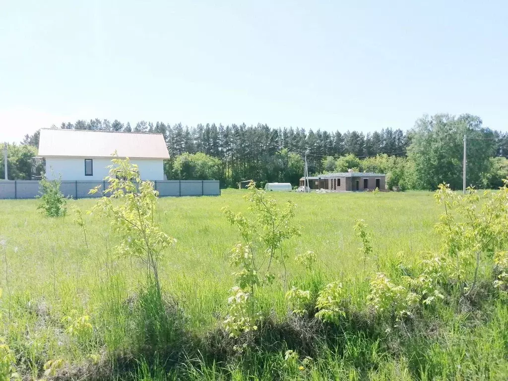 Участок в Новосибирская область, Бердск ул. Александра Шкулова (7.0 ... - Фото 1