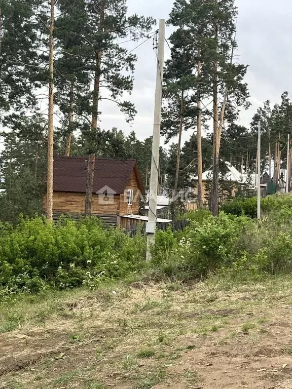 Участок в Бурятия, Улан-Удэ Шамбала ДНТ, ул. Баруун Ундэр (8.0 сот.) - Фото 0