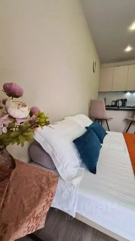 1-к кв. Краснодарский край, Сочи ул. Искры, 88к3 (25.0 м) - Фото 1