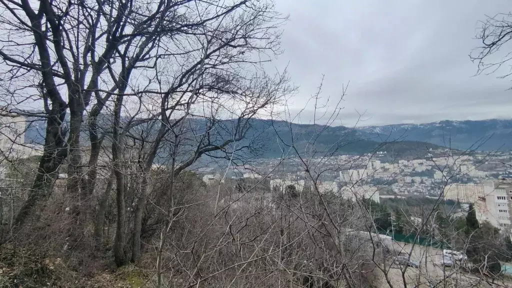 Участок в Крым, Ялта муниципальный округ, Виноградное пгт ул. Лесная, ... - Фото 1