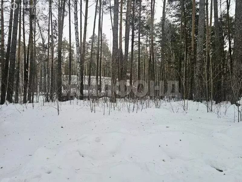 Участок в Новосибирск, коттеджный посёлок Европейский, Мадридская ... - Фото 2