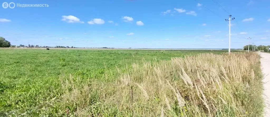 Участок в Медведевский район, Пекшиксолинское сельское поселение, ... - Фото 1