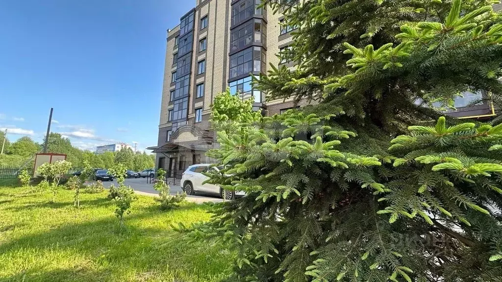 2-к кв. Вологодская область, Вологда Восточная ул., 1Б (62.0 м) - Фото 0
