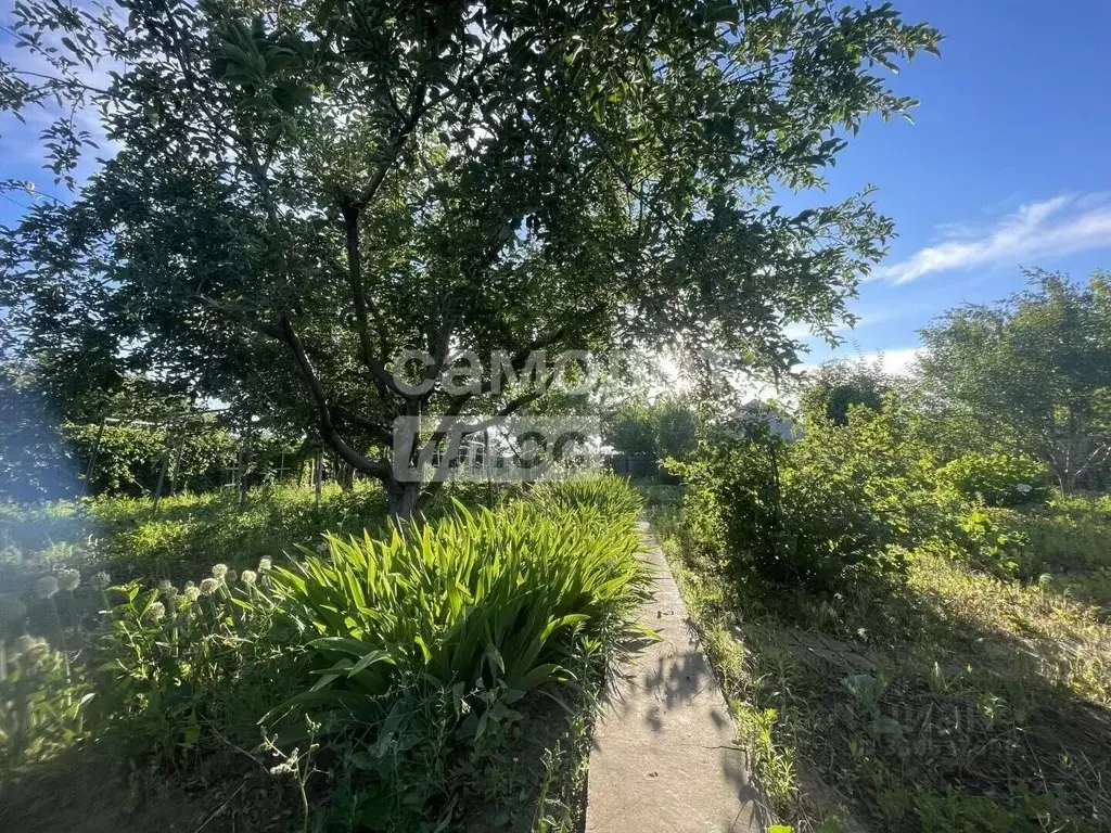 Дом в Волгоградская область, Городищенский район, Новожизненское ... - Фото 2