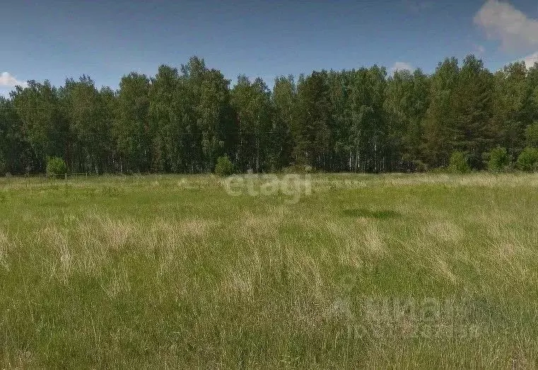 Участок в Свердловская область, Белоярский муниципальный округ, д. ... - Фото 1