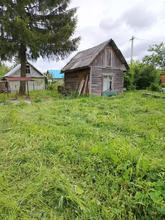 Участок 6 сот. (СНТ, ДНП) - Фото 0