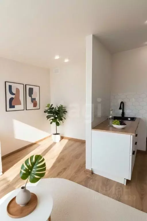 Студия Тюменская область, Тюменский муниципальный округ, д. Патрушева ... - Фото 1