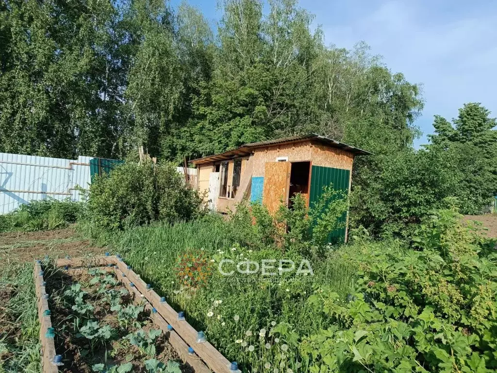 Дом в Новосибирская область, Бердск Вега-3 СНТ, 404 (30 м) - Фото 0