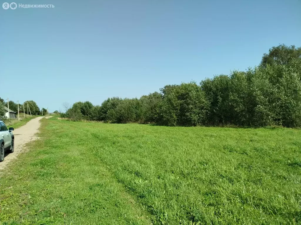 Участок в Великолукский район, Пореченская волость, деревня Комша, ... - Фото 2