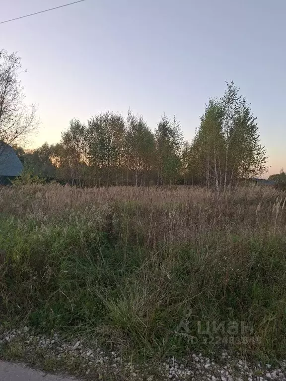 Участок в Владимирская область, Гусь-Хрустальный муниципальный округ, ... - Фото 2