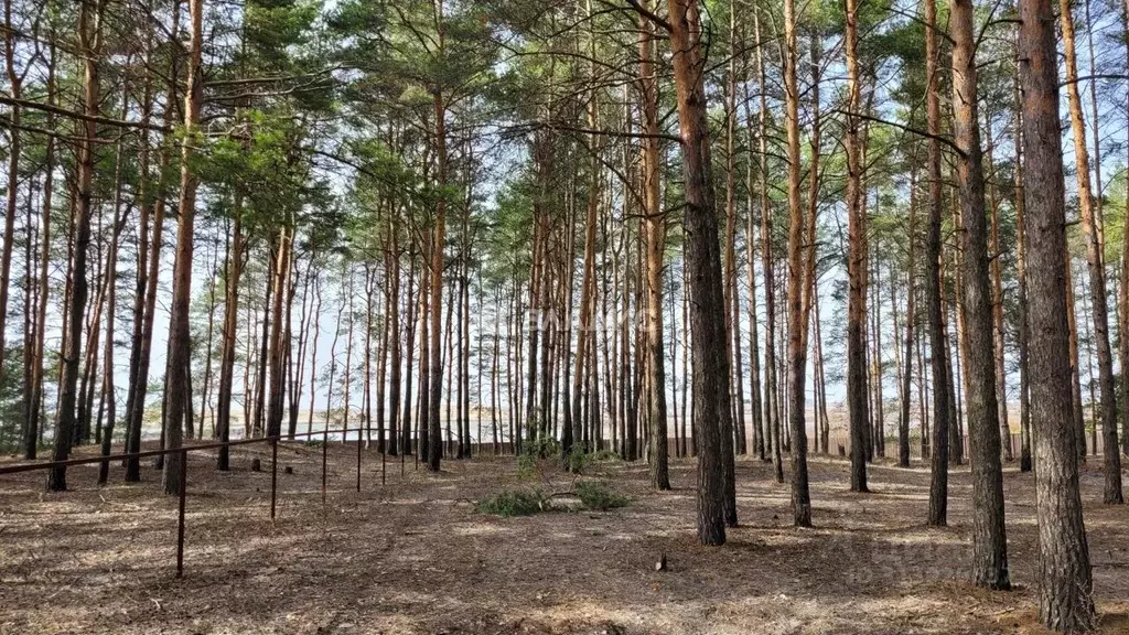 Участок в Рязанская область, Рязанский район, Дубровическое с/пос, ... - Фото 2