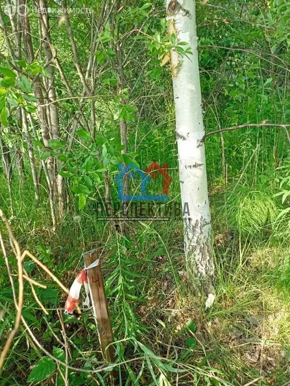Участок в Тюменская область, Тобольск (8 м) - Фото 1