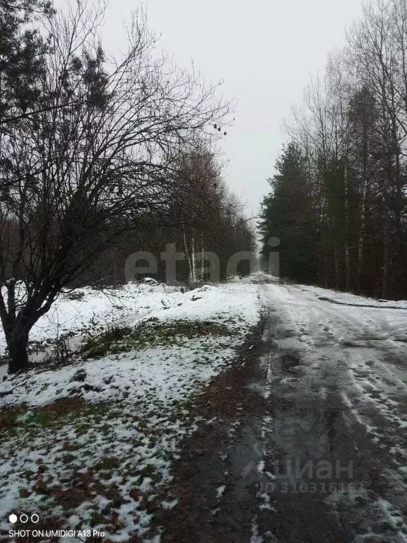 Участок в Ленинградская область, Тосно г. Тосненский район, Тосненское ... - Фото 1