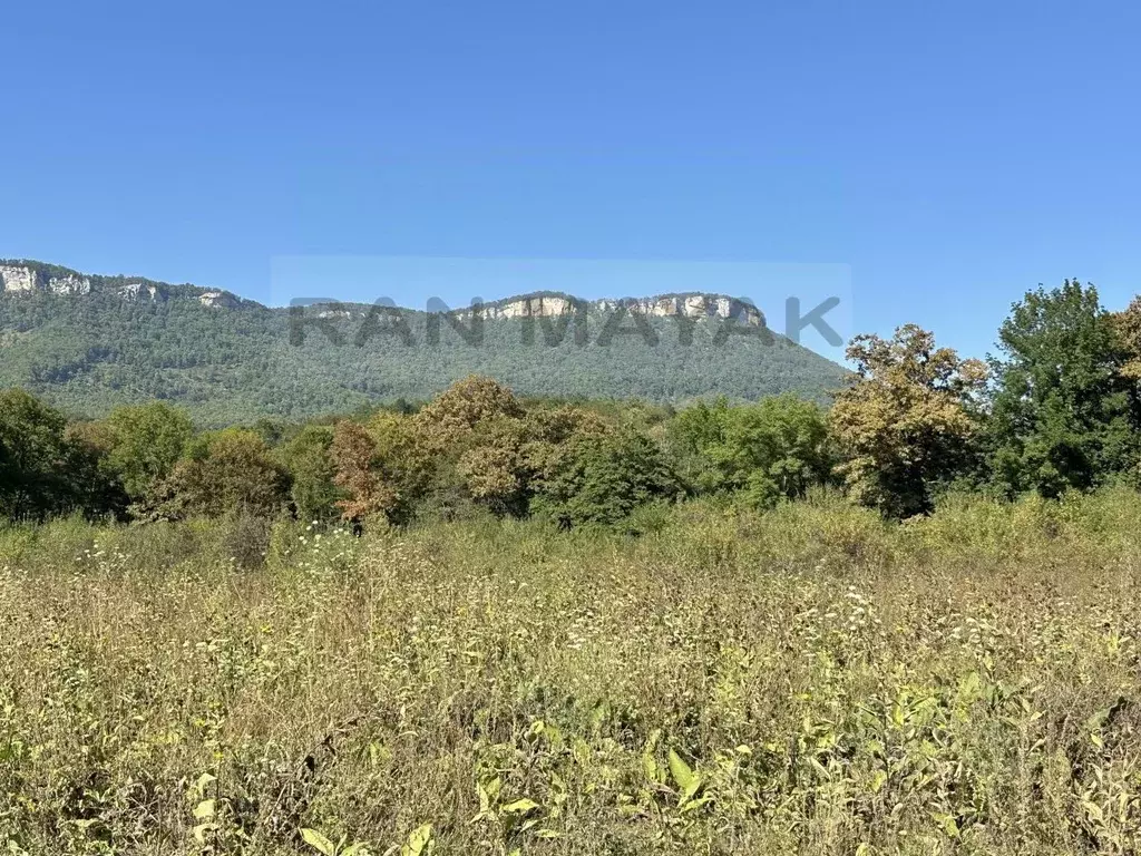Участок в Адыгея, Майкопский район, Даховская ст-ца Советская ул., 20 ... - Фото 1