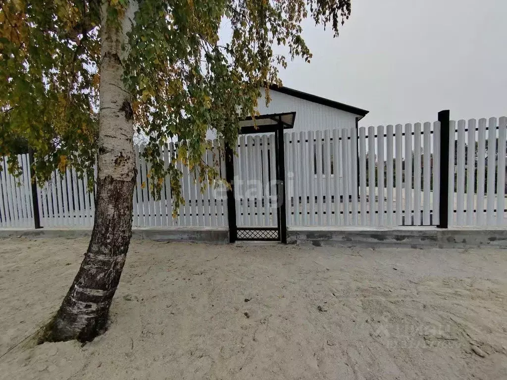 Дом в Амурская область, Белогорск Уссурийская ул., 52 (96 м) - Фото 0