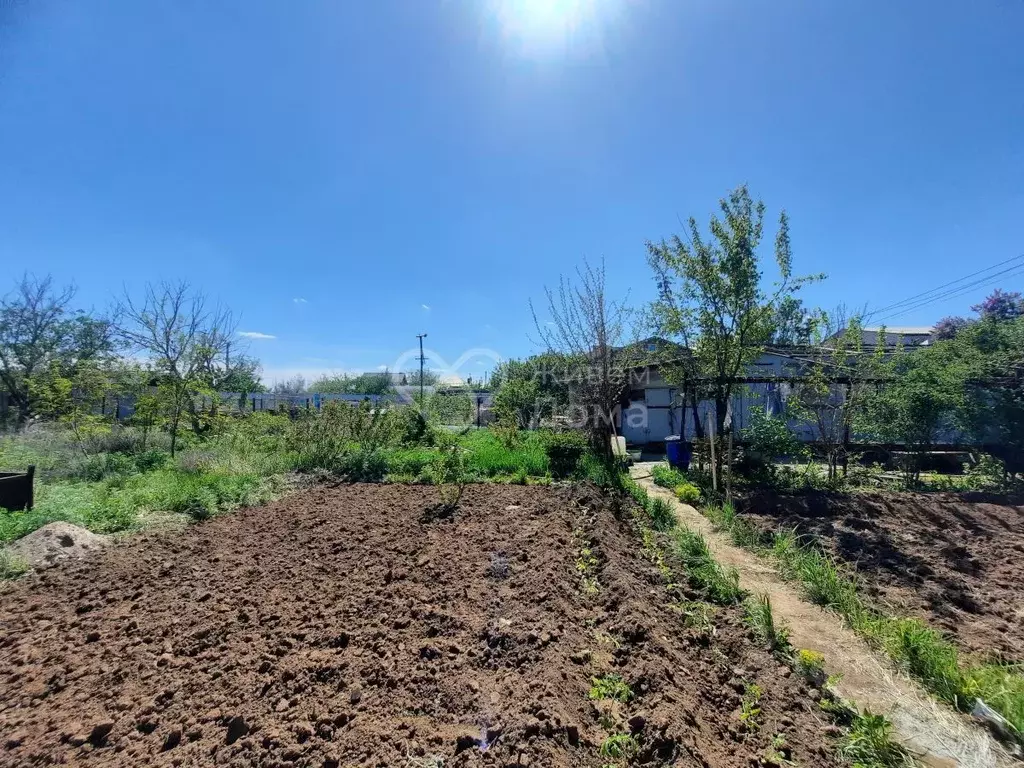 Участок в Волгоградская область, Городищенский район, Царицынское ... - Фото 0